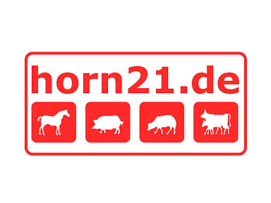 horn21.de